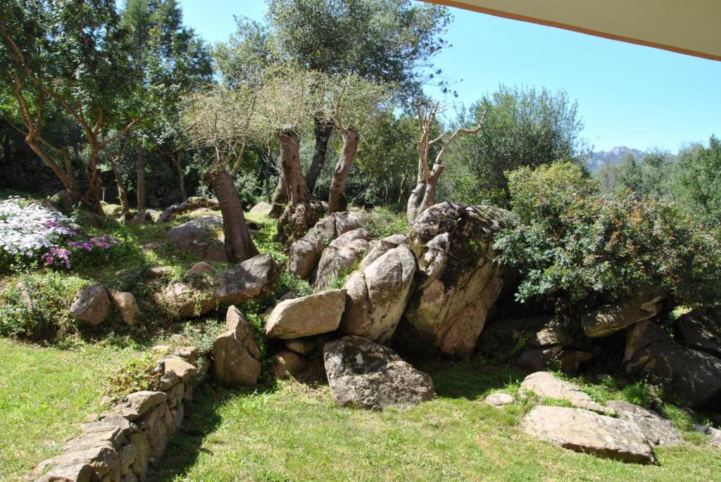 Sa Jaga Brujada Residence - Simar Vacanze Порто Ротондо Екстериор снимка