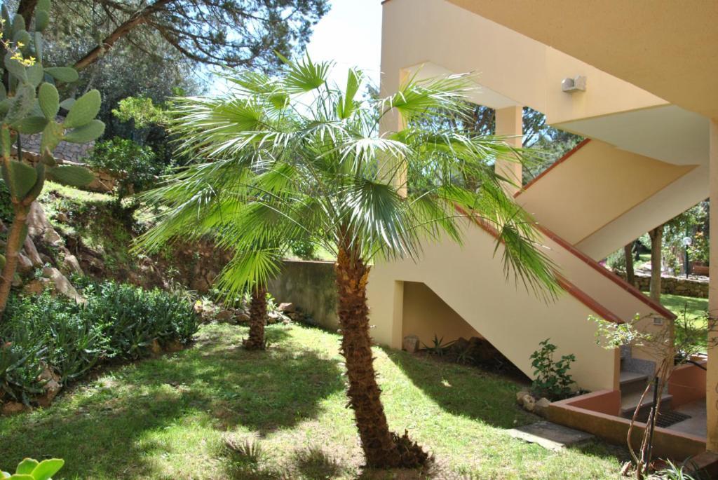 Sa Jaga Brujada Residence - Simar Vacanze Порто Ротондо Екстериор снимка